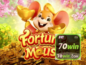 70WIN login — configurações de segurança e proteção de conta